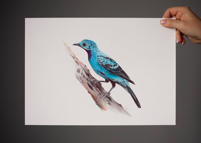 Original Photorealism Animal Drawing by Daria Maier