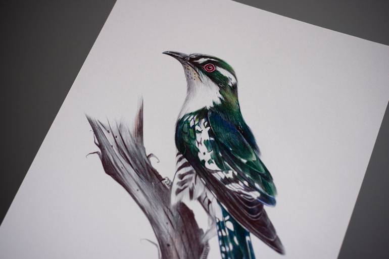 Original Photorealism Animal Drawing by Daria Maier