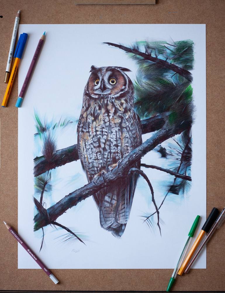 Original Photorealism Animal Drawing by Daria Maier