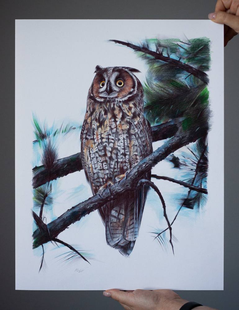 Original Photorealism Animal Drawing by Daria Maier