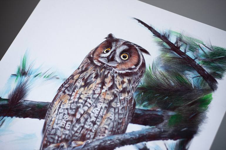 Original Photorealism Animal Drawing by Daria Maier