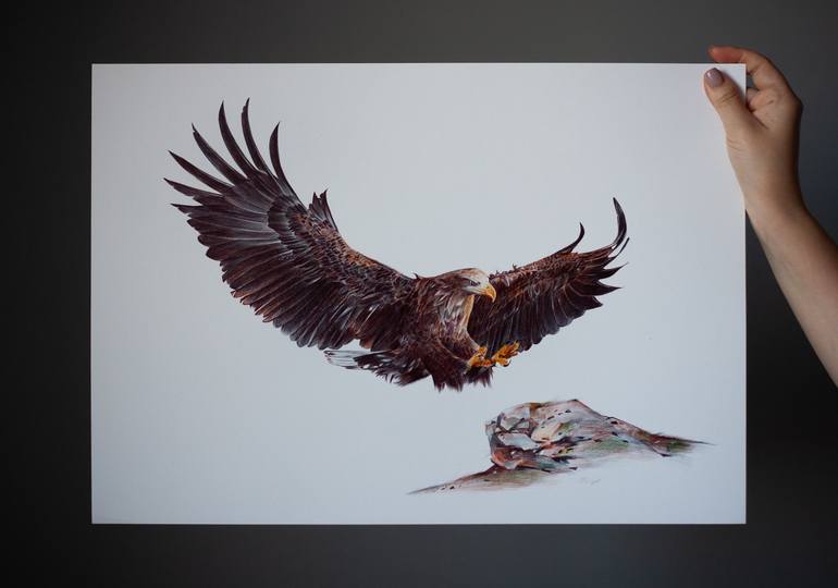 Original Animal Drawing by Daria Maier