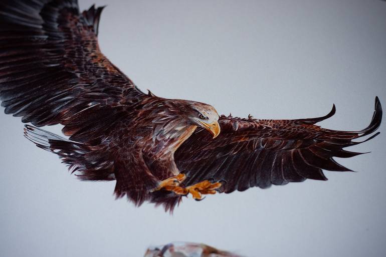 Original Photorealism Animal Drawing by Daria Maier