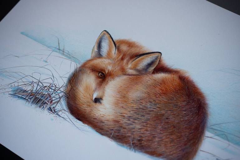 Original Photorealism Animal Drawing by Daria Maier