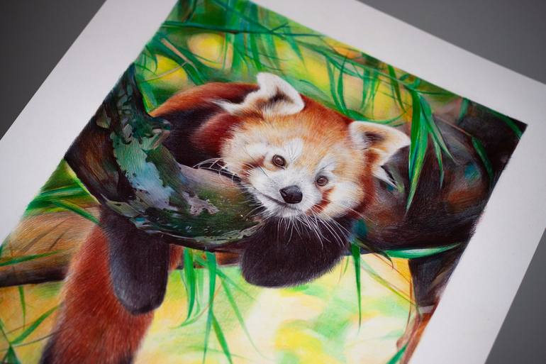 Original Photorealism Animal Drawing by Daria Maier