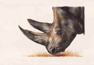 White Rhinoceros - Photorealistic Animal Portrait thumb