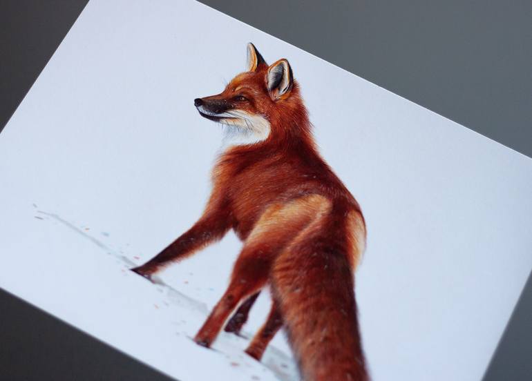 Original Photorealism Animal Drawing by Daria Maier