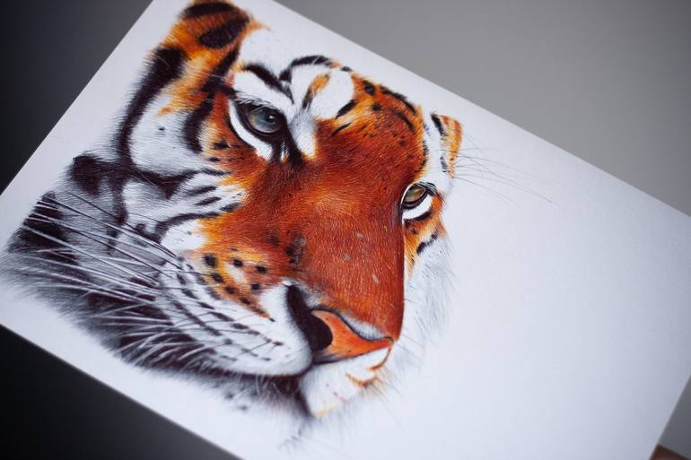 Original Photorealism Animal Drawing by Daria Maier