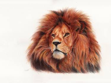 Lion - Animal Portrait Painting thumb