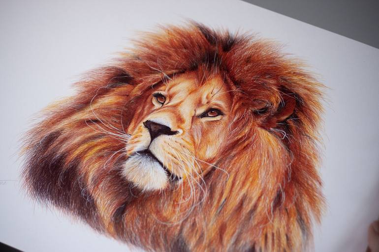 Original Animal Drawing by Daria Maier