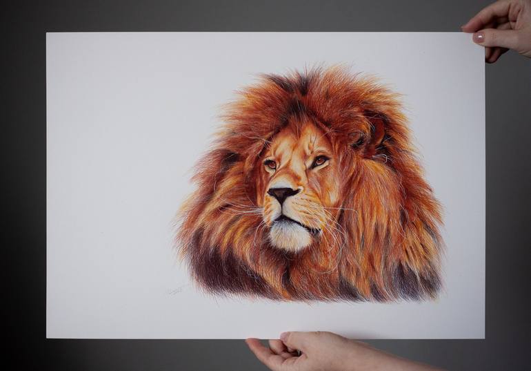 Original Photorealism Animal Drawing by Daria Maier