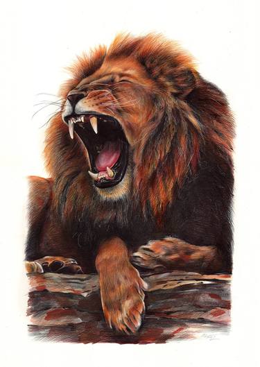 Lion - Animal Portrait thumb