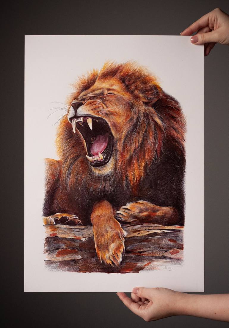 Original Animal Drawing by Daria Maier