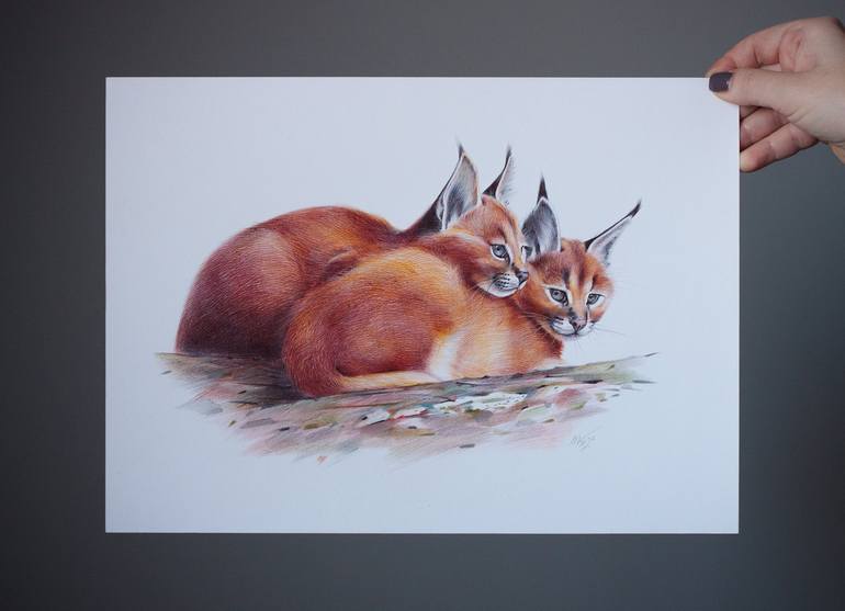 Original Photorealism Animal Drawing by Daria Maier