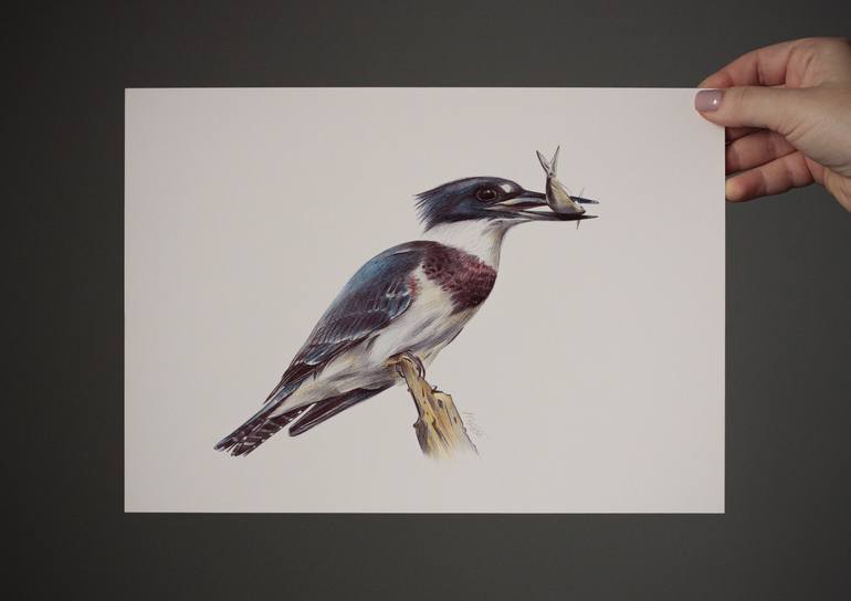 Original Photorealism Animal Drawing by Daria Maier