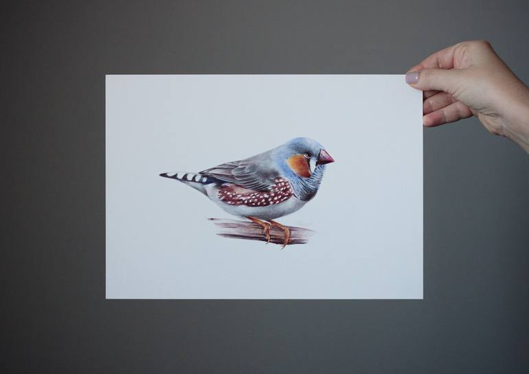 Original Photorealism Animal Drawing by Daria Maier