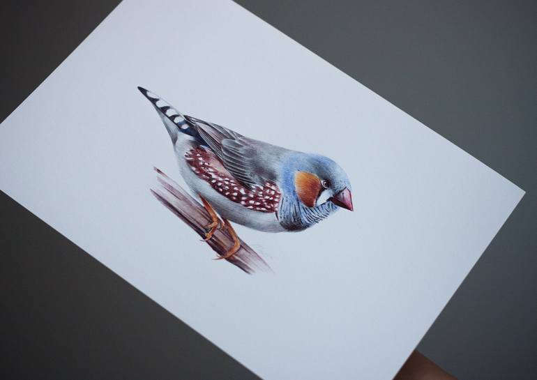 Original Photorealism Animal Drawing by Daria Maier