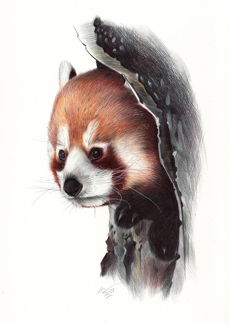 Realistic panda drawing sketch hanging on the tree, Try it now.