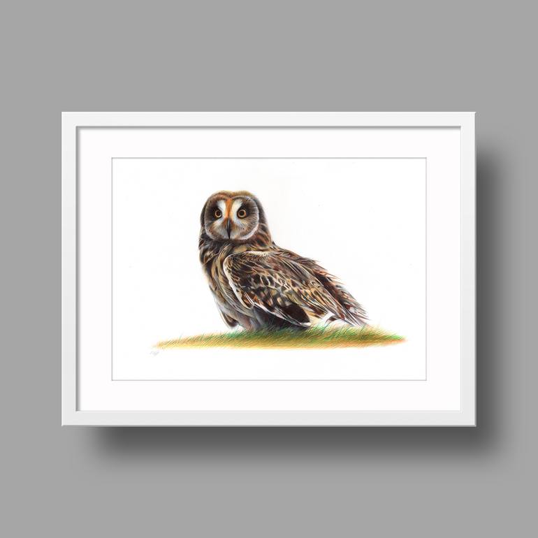 Original Documentary Animal Drawing by Daria Maier