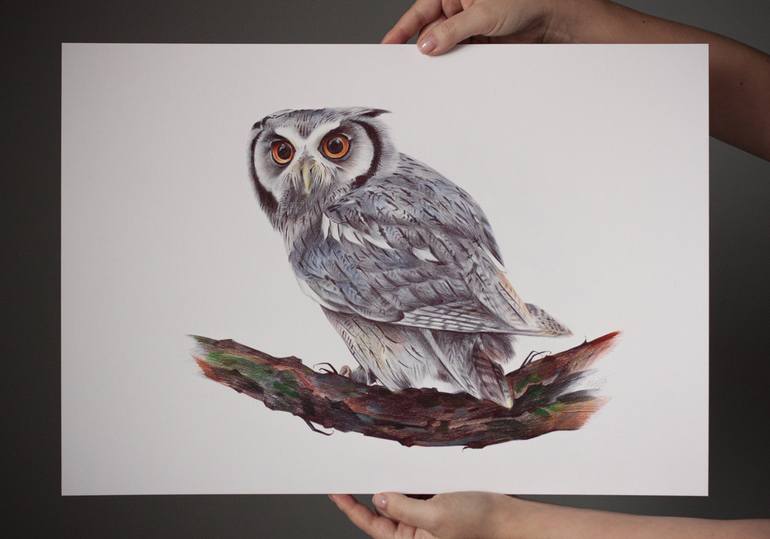 Original Photorealism Animal Drawing by Daria Maier