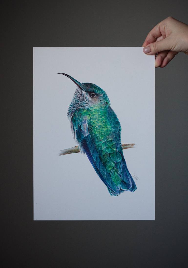 Original Photorealism Animal Drawing by Daria Maier