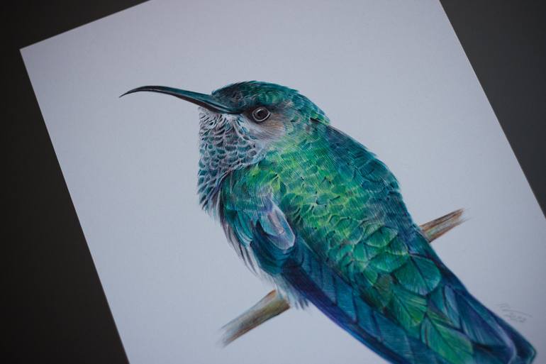 Original Photorealism Animal Drawing by Daria Maier