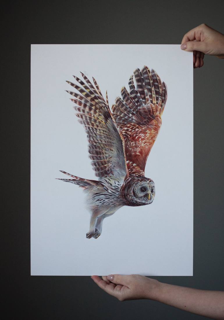 Original Animal Drawing by Daria Maier