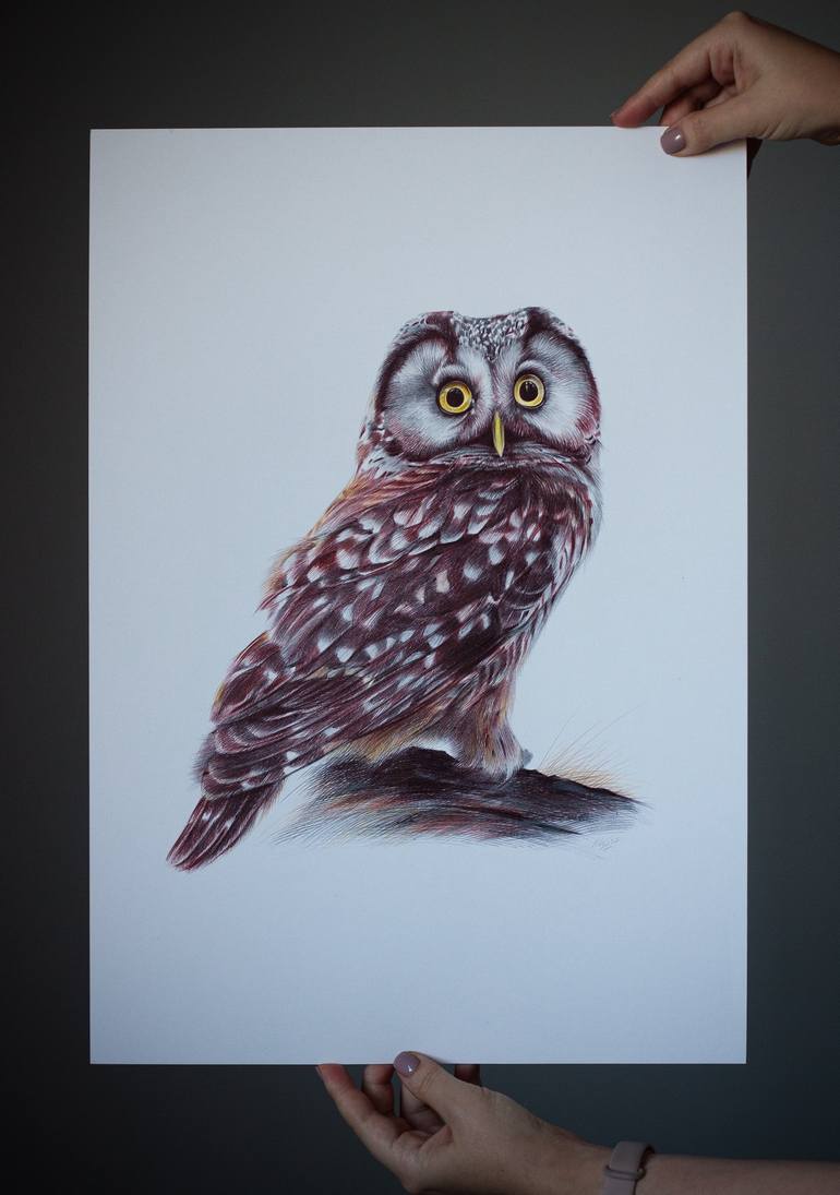 Original Photorealism Animal Drawing by Daria Maier