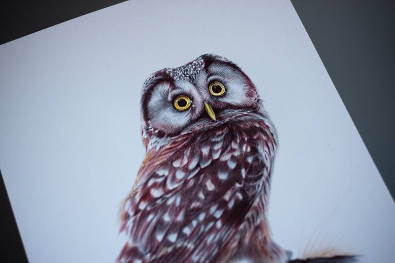 Original Photorealism Animal Drawing by Daria Maier