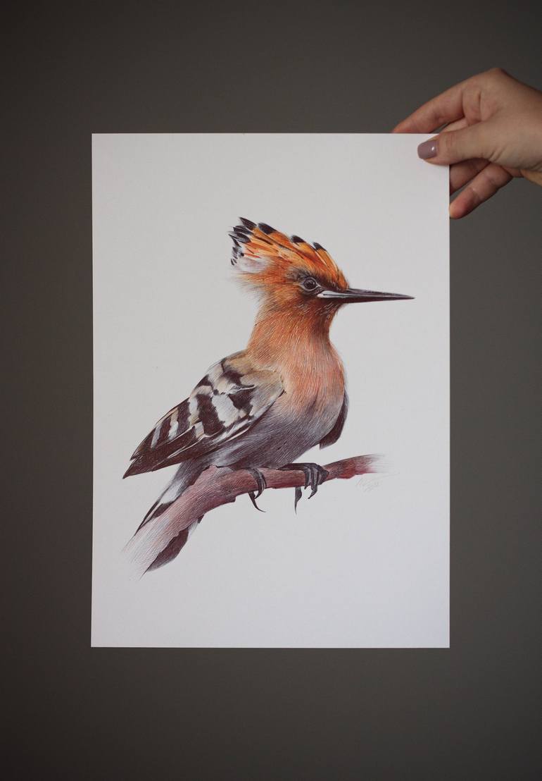 Original Photorealism Animal Drawing by Daria Maier