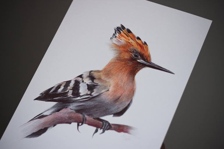 Original Photorealism Animal Drawing by Daria Maier