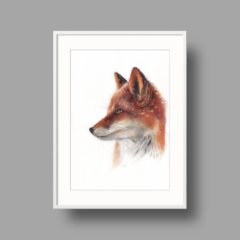 Original Photorealism Animal Drawing by Daria Maier