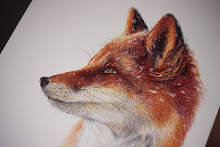 Original ballpoint pen top ink drawing of a fox