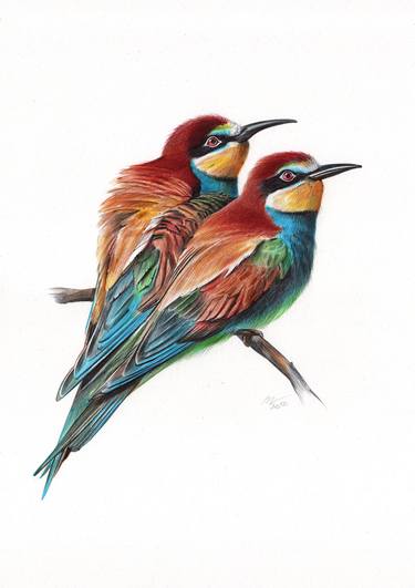 European Bee-eater (Realistic Ballpoint Pen Bird Portrait) thumb