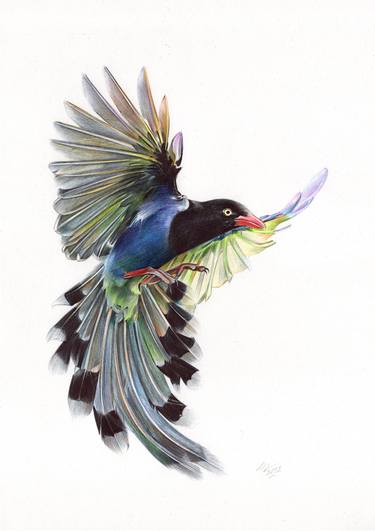 Taiwan Blue Magpie (Realistic Ballpoint Pen Bird Portrait) thumb
