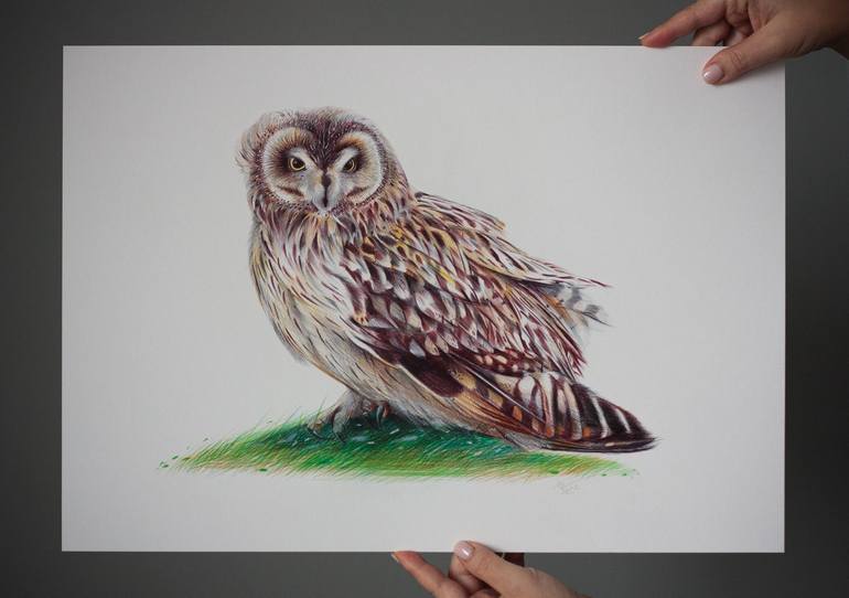 Original Documentary Animal Drawing by Daria Maier