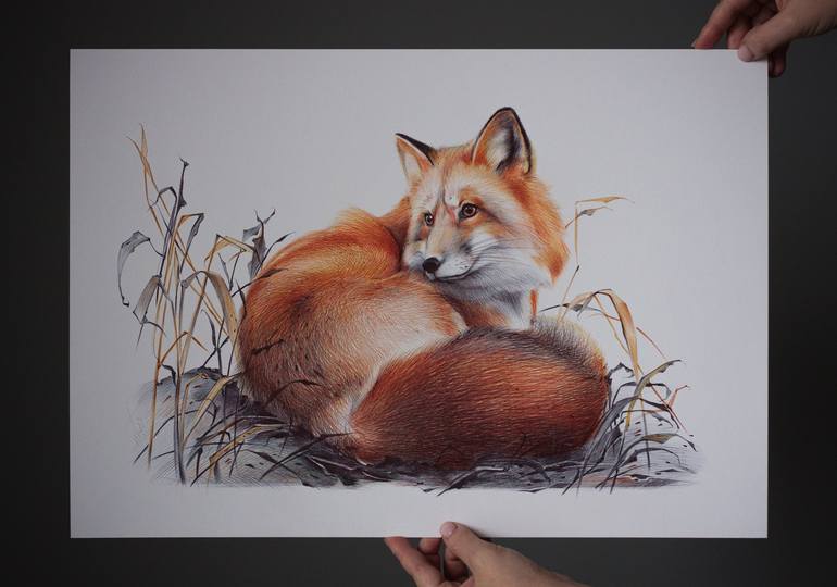 Original Animal Drawing by Daria Maier