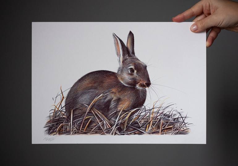 Original Photorealism Animal Drawing by Daria Maier