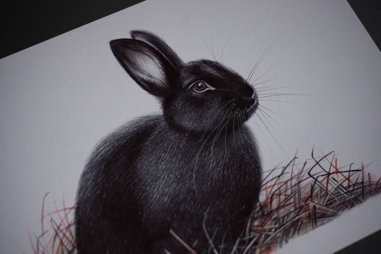 Original Photorealism Animal Drawing by Daria Maier