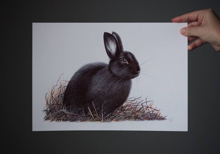 Original Photorealism Animal Drawing by Daria Maier