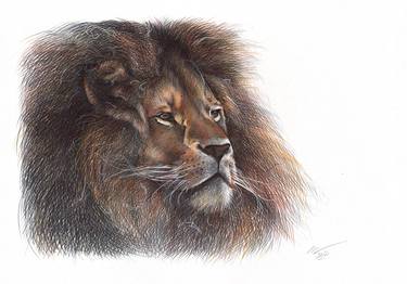 Lion - Animal Portrait (Realistic Ballpoint Pen Drawing) thumb