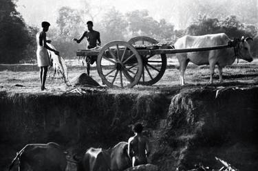 Print of Rural life Photography by Henry Rajakaruna