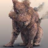 Koobor by Josh Dykgraaf