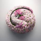 Collection Digital Artworks