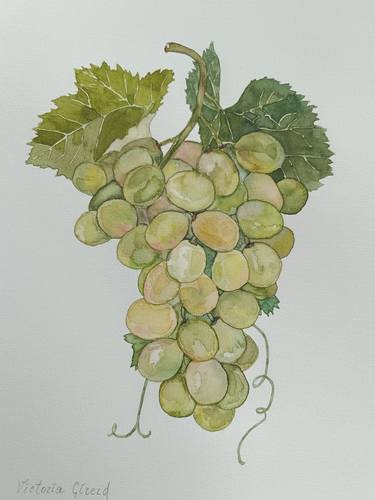 Original Figurative Food & Drink Paintings by Victoria Girerd
