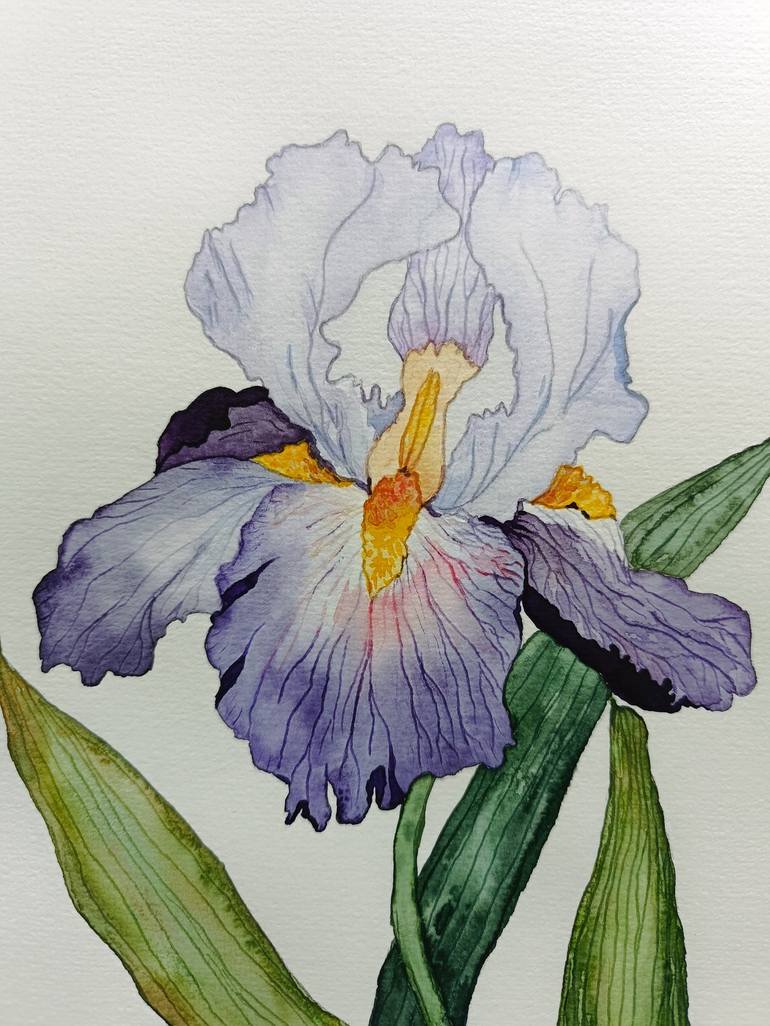 Original Botanic Painting by Victoria Girerd