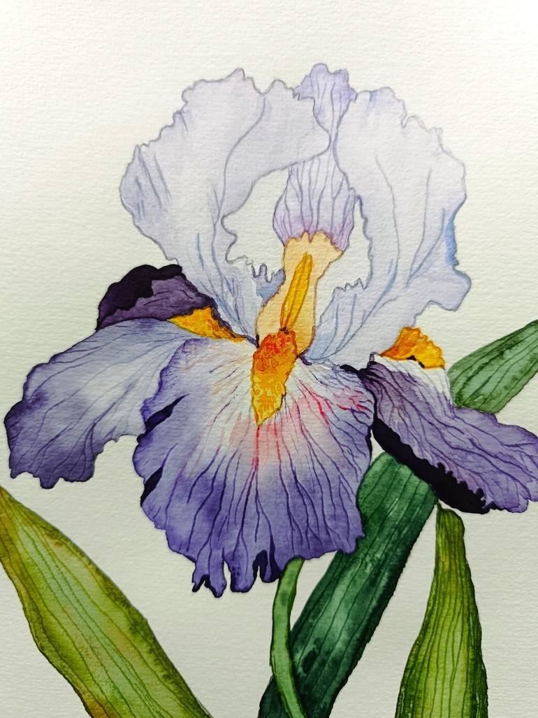 Original Botanic Painting by Victoria Girerd