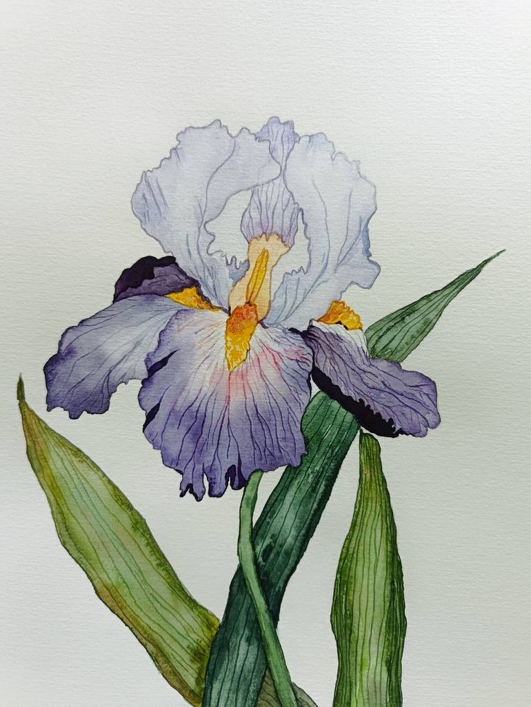 Original Realism Botanic Painting by Victoria Girerd