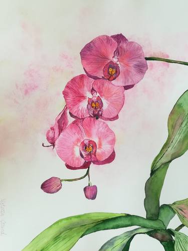 Original Fine Art Botanic Paintings by Victoria Girerd