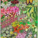 FLOWERS ON YUGAMBEH COUNTRY vi: Eucalypt by Sarah Beetson
